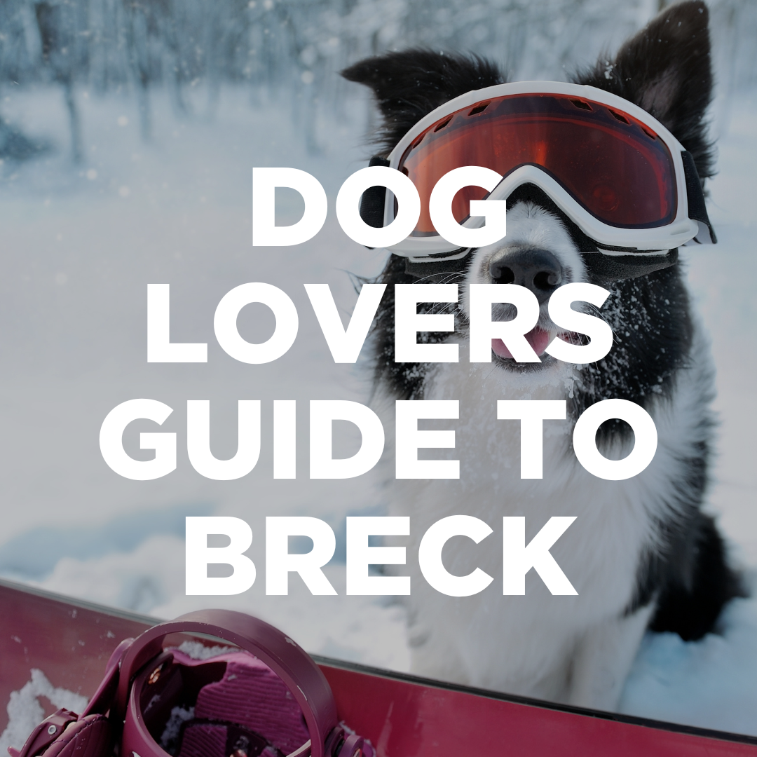 Kid Friendly Activities Guide Breckenridge, CO: Dog Friendly Guide to Breck